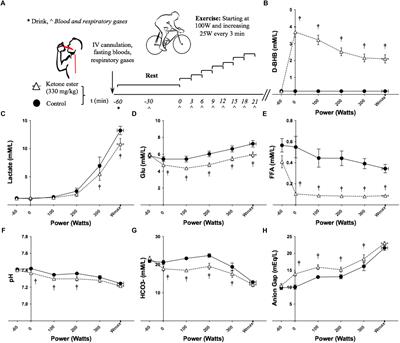 Nutritional Ketoacidosis During Incremental Exercise in Healthy Athletes
